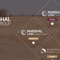 marshallion.pl opinie Marshal Lion (34 opinie) pożyczka