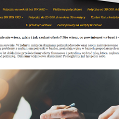 Protel Finanse Opinie protelfinanse.pl (23 opinie)