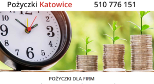pożyczka dla firm