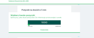 pożyczka i kredyt