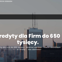 MS Premium – Kredyty dla Firm do 650 tysięcy