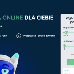 NEXU pożyczka online do 8000 zł dostępna 365 dni w roku!