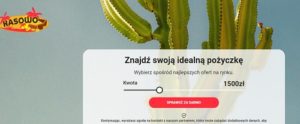 kasowo.pl kredyt gotówkowy